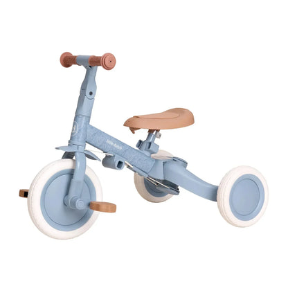 Little Dutch 4 in 1 Tricycle